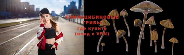гидра Абаза