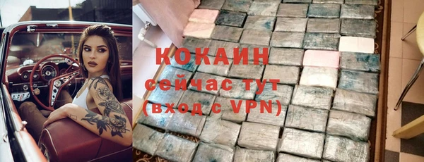 гидра Абаза