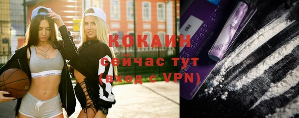 гидра Абаза