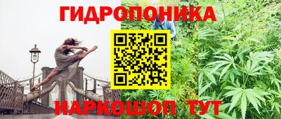 a pvp Кунгур