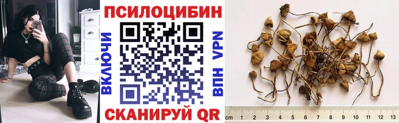 что такое   Ишимбай  Псилоцибиновые грибы Psilocybine cubensis 