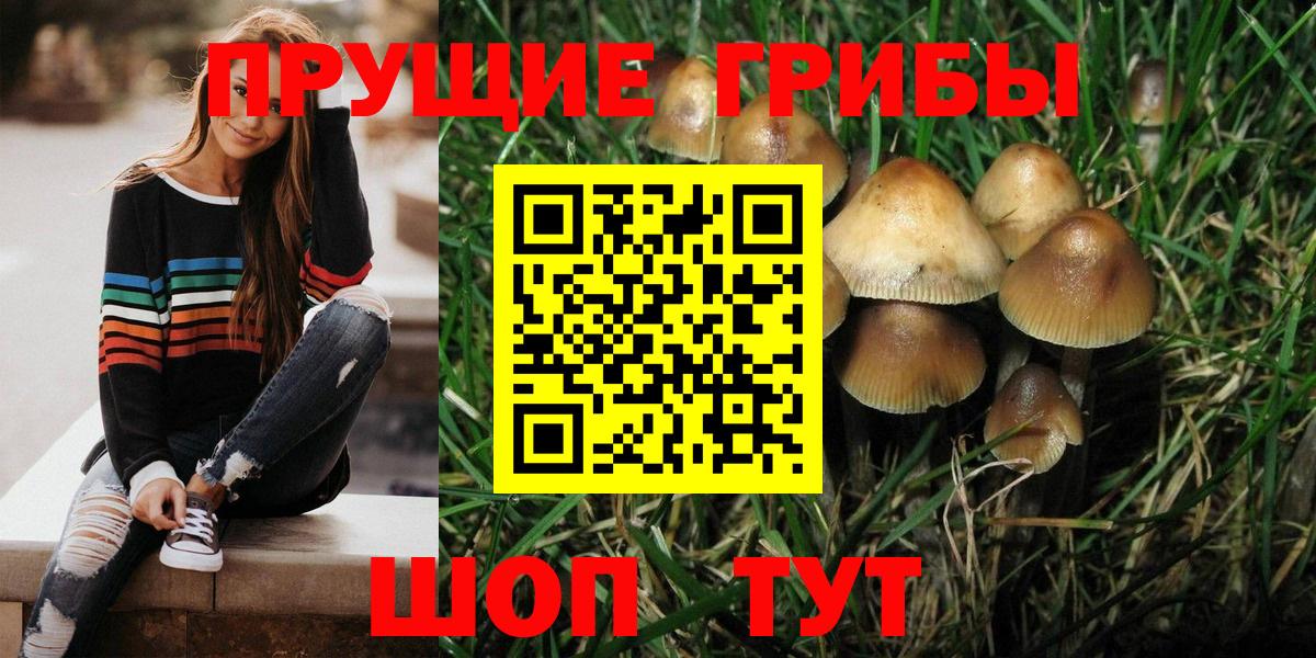 Ишимбай  Галлюциногенные грибы Cubensis  Галлюциногенные грибы мицелий  Вход с VPN 